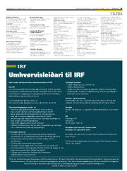 Síða 19
