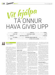 Síða 30