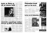 Síða 3