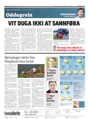 Síða 2