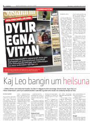 Síða 8