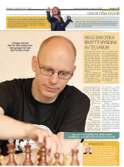Síða 17