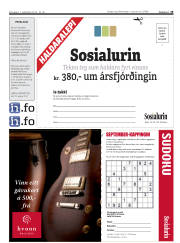 Síða 19