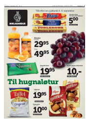 Síða 3