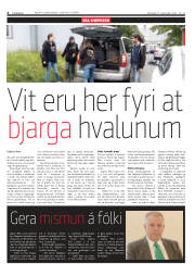 Síða 4