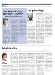 Síða 16