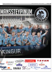 Síða 21