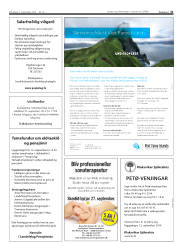 Síða 31
