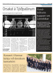 Síða 39