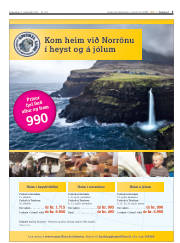 Síða 3