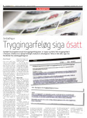 Síða 6