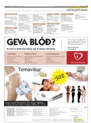 Síða 19