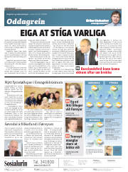 Síða 2