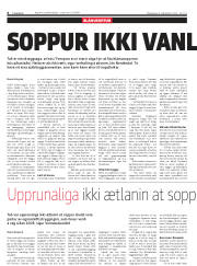 Síða 6