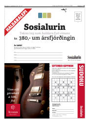 Síða 17