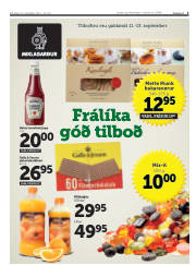 Síða 3