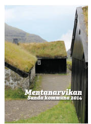 Síða 17