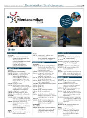 Síða 19