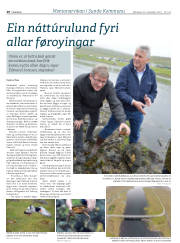 Síða 20
