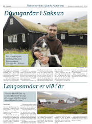 Síða 22