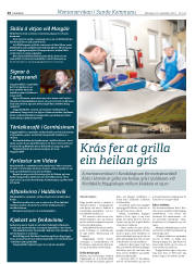 Síða 24