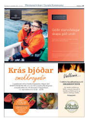 Síða 25