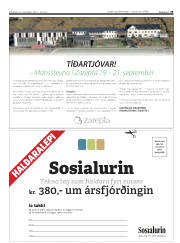 Síða 29