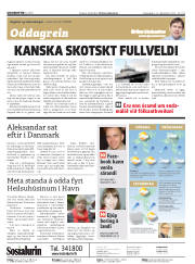 Síða 2