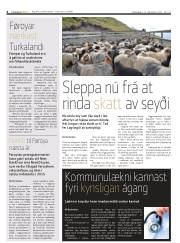 Síða 4