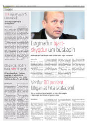 Síða 6