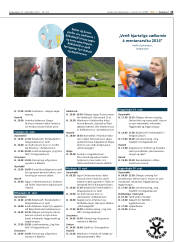 Síða 13