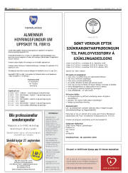 Síða 20
