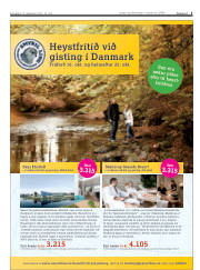 Síða 3
