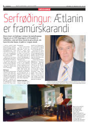 Síða 8