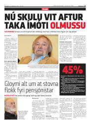 Síða 11