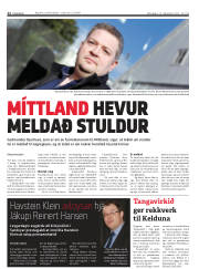 Síða 12