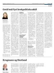 Síða 19