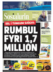 Síða 1