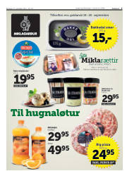 Síða 3
