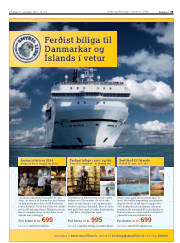 Síða 19
