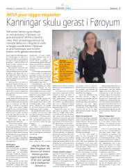 Síða 39