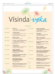 Síða 41