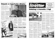 Síða 6