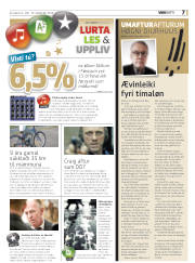 Síða 31