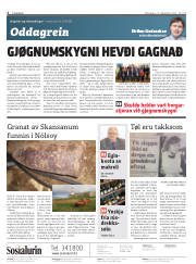 Síða 2