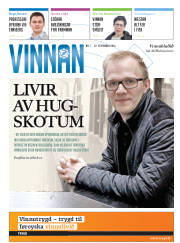 Síða 17