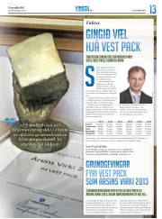 Síða 29