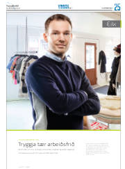 Síða 41