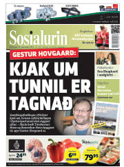 Síða 1