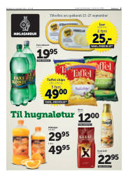 Síða 3